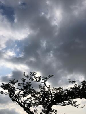 空