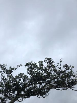 空