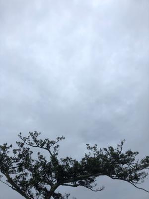 空