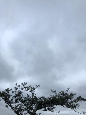 空