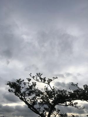 空