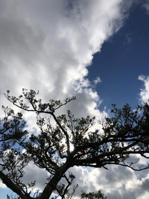 空