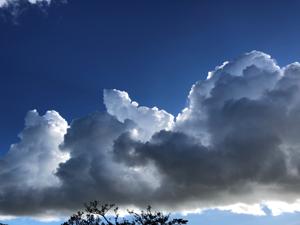 雲
