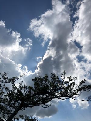 空