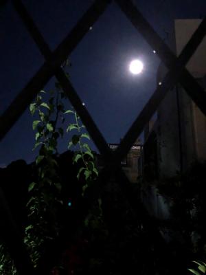 月