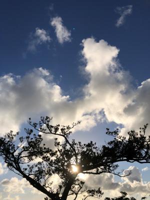 空