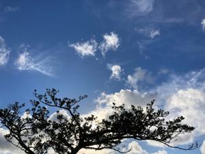 空