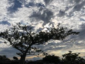 空