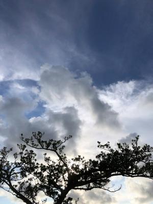 空