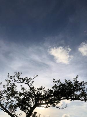 空