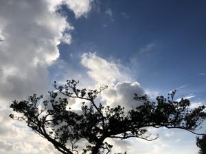空