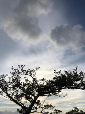 空