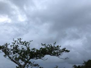 空