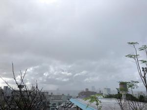 雨