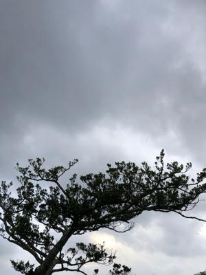 空