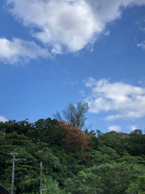 空