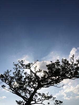 空
