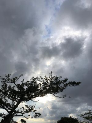 空