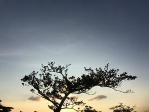 空