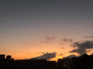 朝