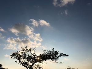 空