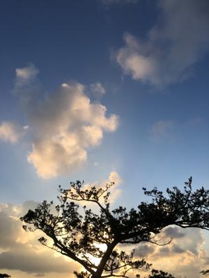 空