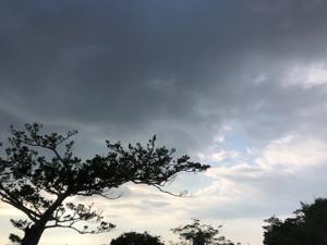 空