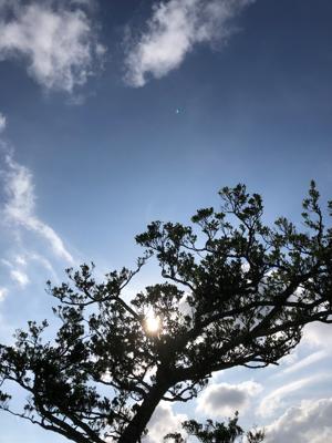 空