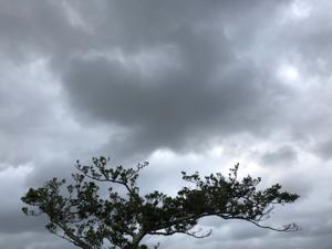 空
