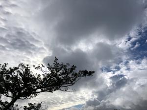 空