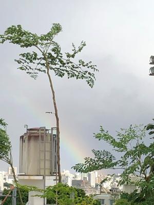 虹