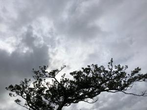 空