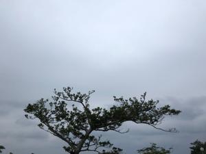空