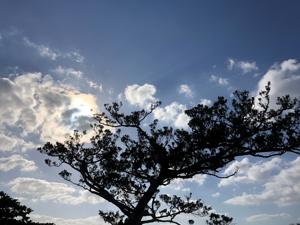 空
