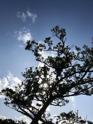 空