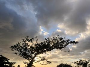 空