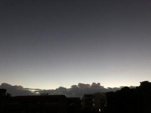朝