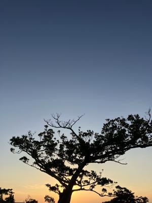 空