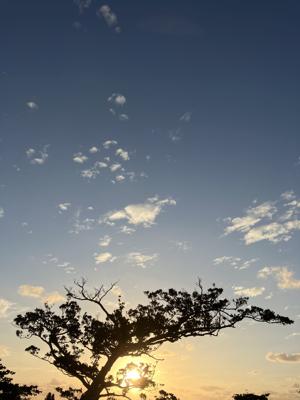 空