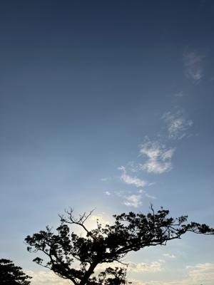 空