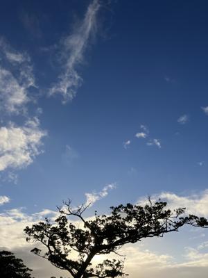 空