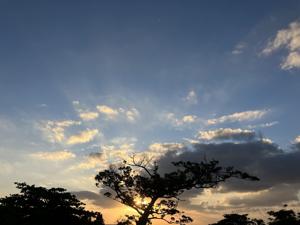 空