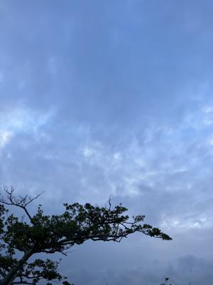 空