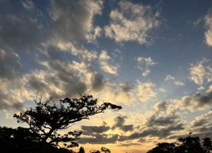 空