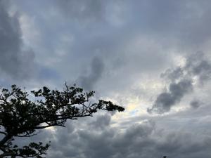 空