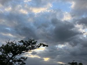 空