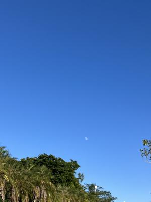 空