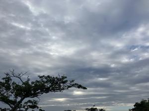 空