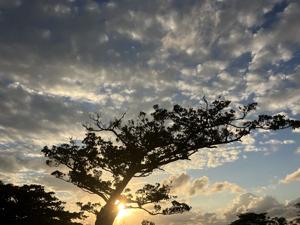 空