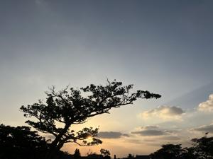 空